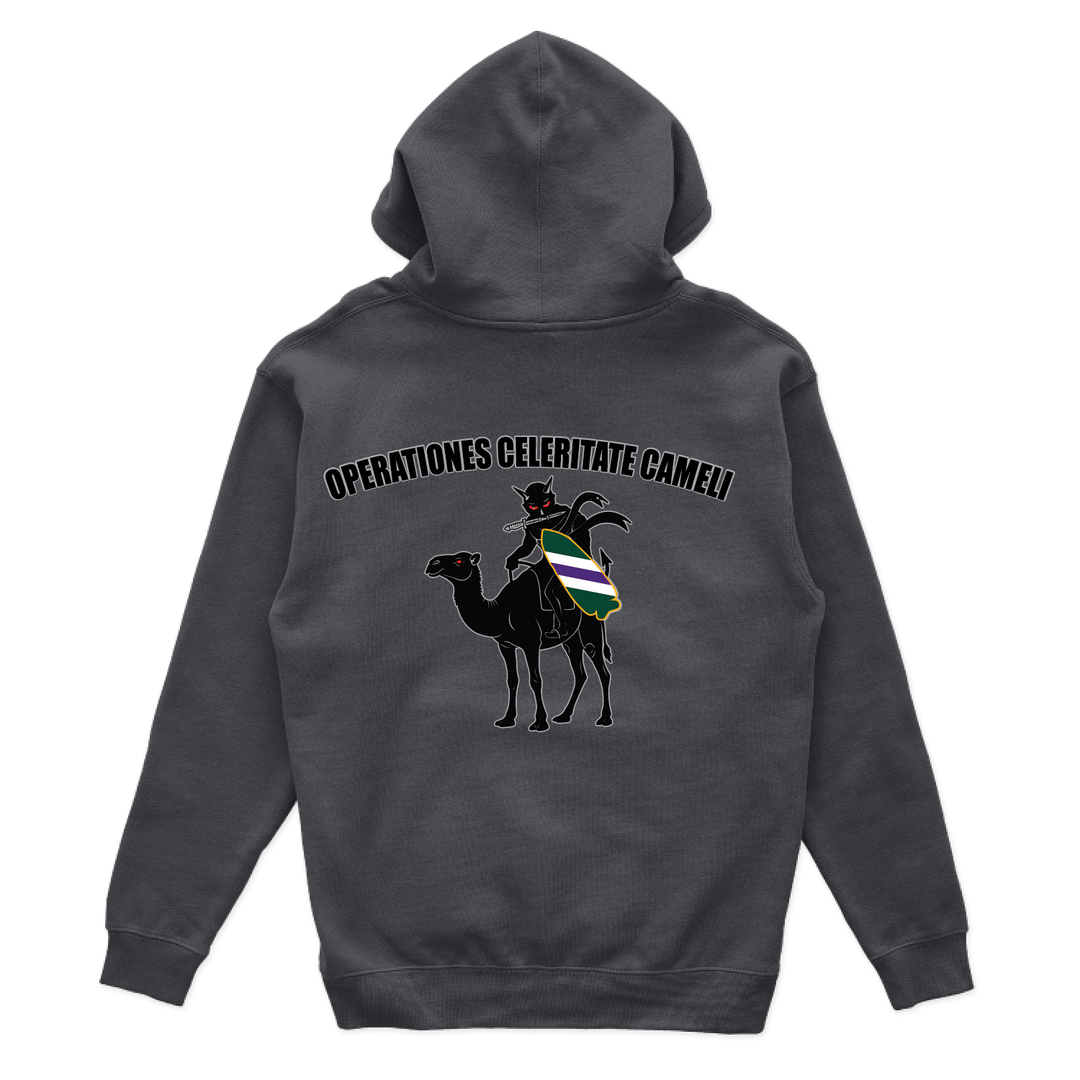 aco96thcabn_hoodie_charcoal_back.png