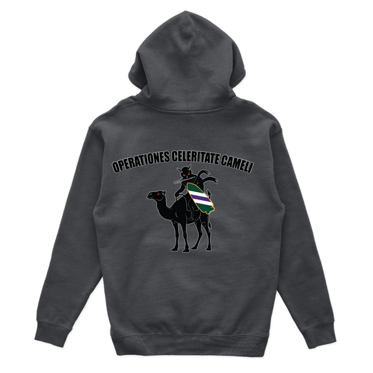 aco96thcabn_hoodie_charcoal_back.png