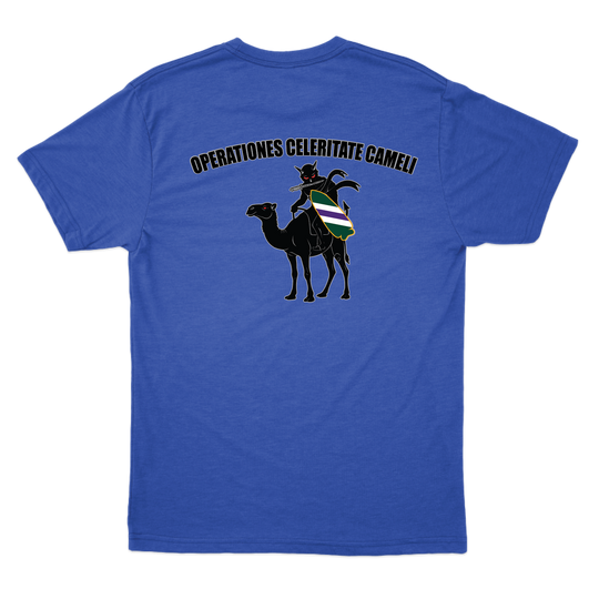 aco96thcabn_tee_heatherroyal_back.png