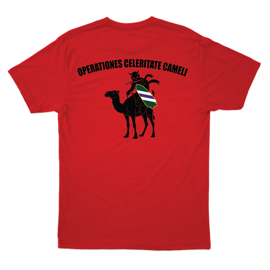 aco96thcabn_tee_red_back.png