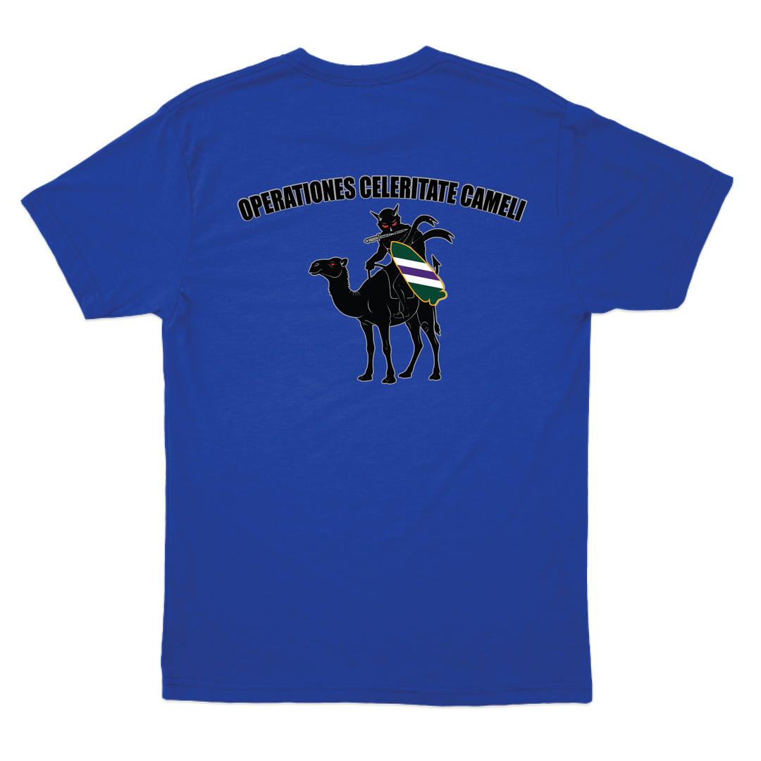 aco96thcabn_tee_royal_back.png