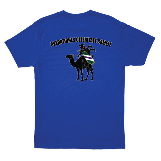 aco96thcabn_tee_royal_back.png