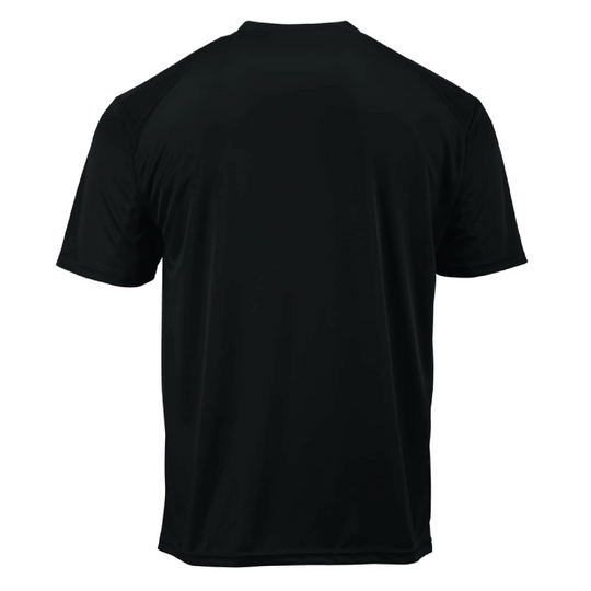 F Co, 3-501 AHB "Lonestar Dustoff" Performance Tee