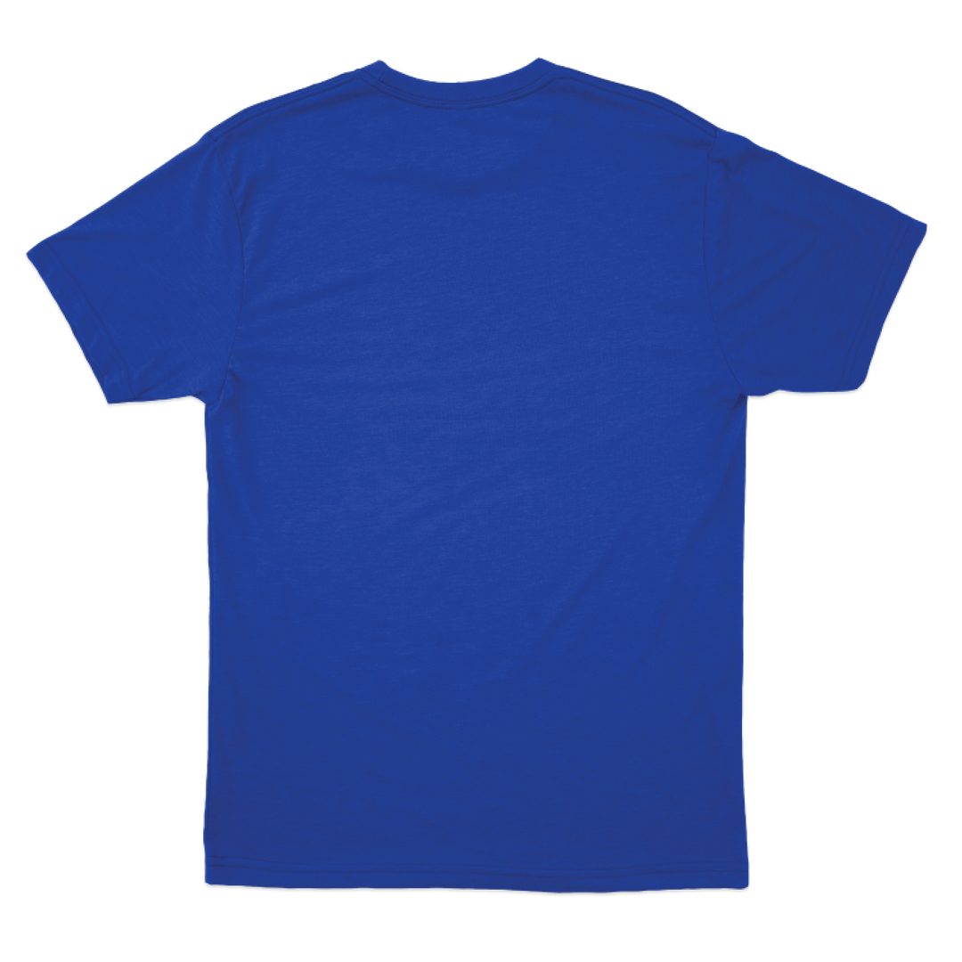 F Co, 3-501 AHB "Lonestar Dustoff" T-Shirts