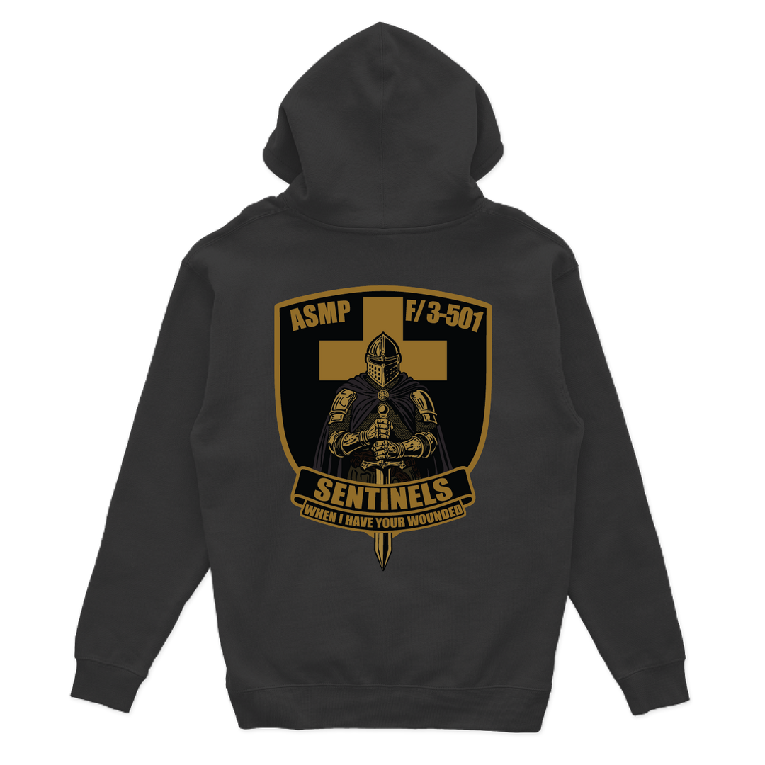fco3_501ahbsentinelsPLATOON_hoodie_black_back.png