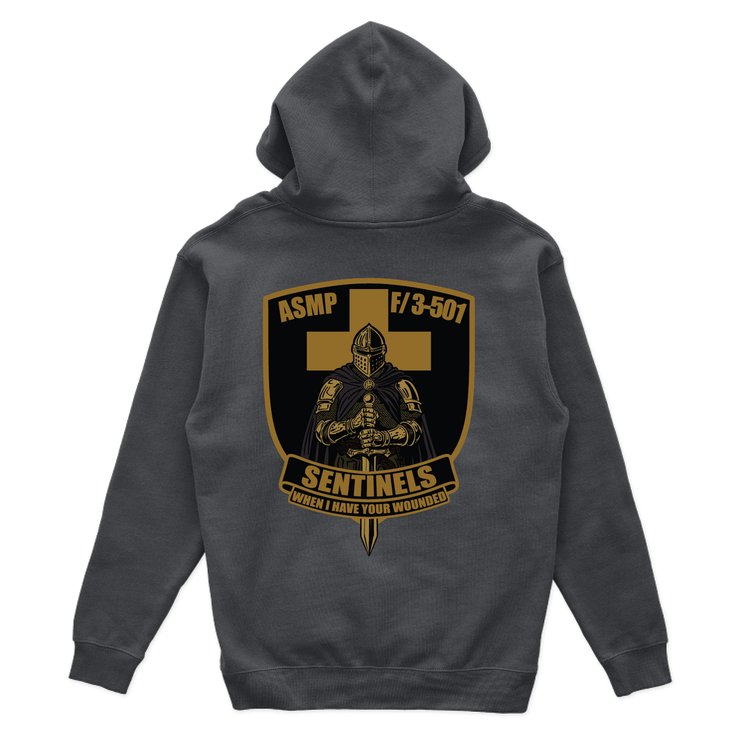 fco3_501ahbsentinelsPLATOON_hoodie_charcoal_back.png