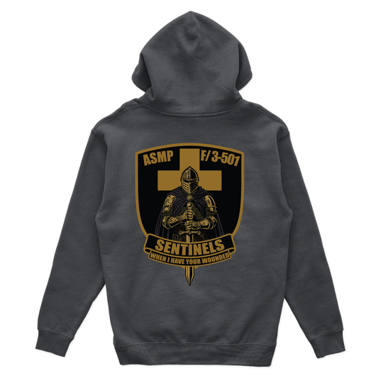 fco3_501ahbsentinelsPLATOON_hoodie_charcoal_back.png