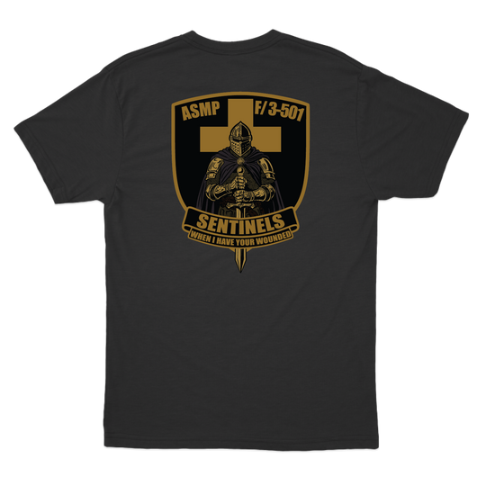 fco3_501ahbsentinelsPLATOON_tee_black_back.png