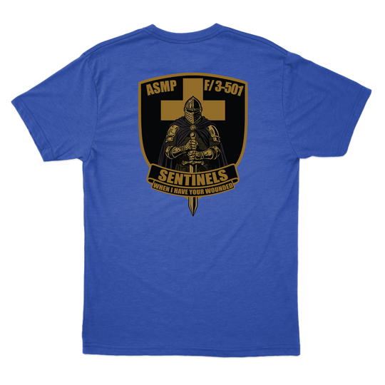 fco3_501ahbsentinelsPLATOON_tee_heatherroyal_back.png