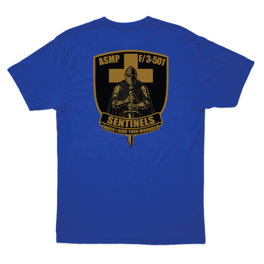 fco3_501ahbsentinelsPLATOON_tee_royal_back.png