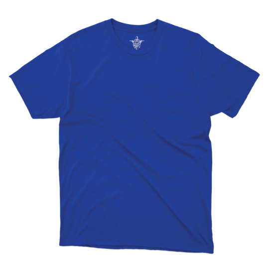 fco3_501ahbsentinelsPLATOON_tee_royal_front.png