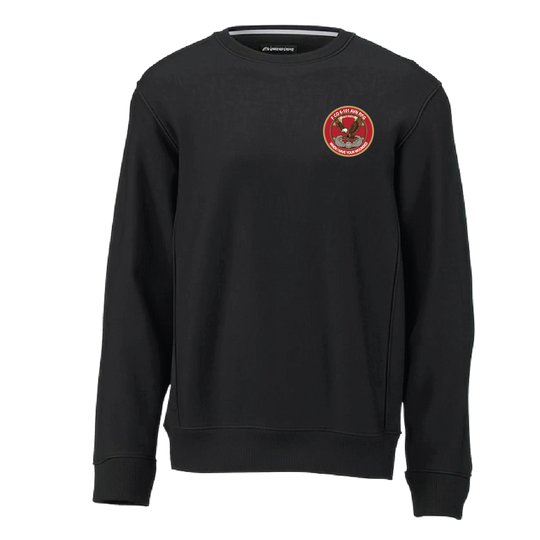 fco6101ahb_mtrashpandamedevac_heavyweightcrewneck_black_front.png
