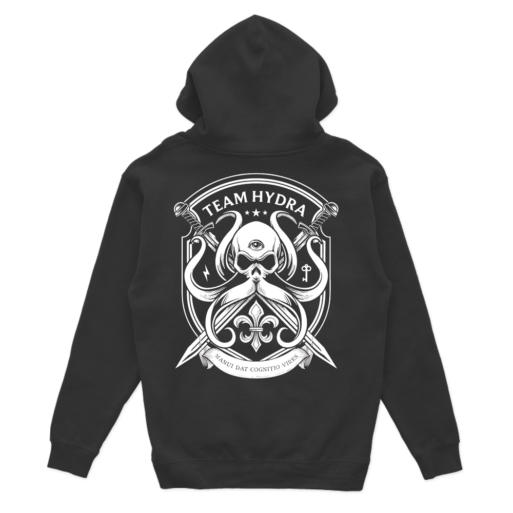 256th IBCT TF Tiger V2 Hoodies