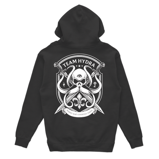 256th IBCT TF Tiger V2 Hoodies