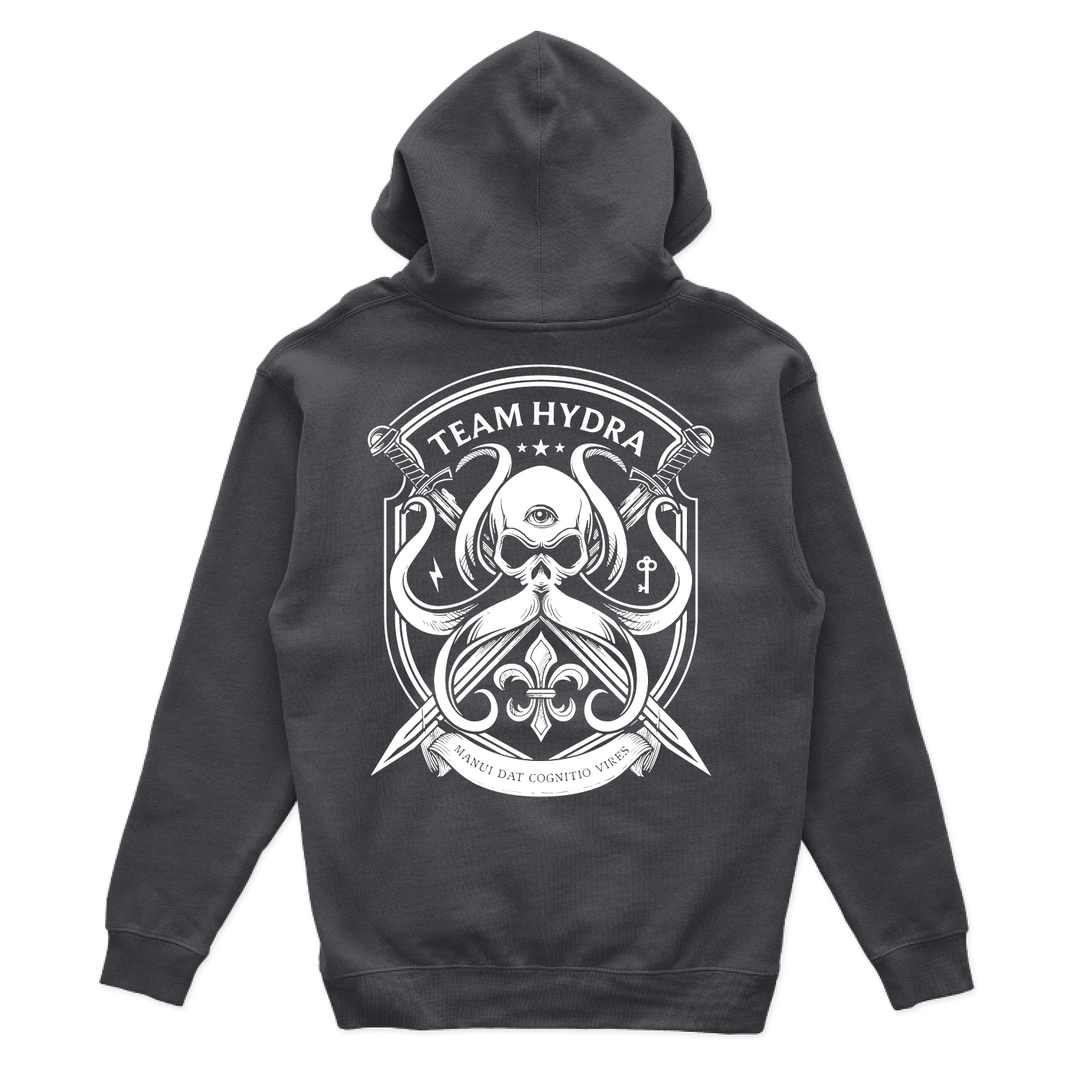 256th IBCT TF Tiger V2 Hoodies