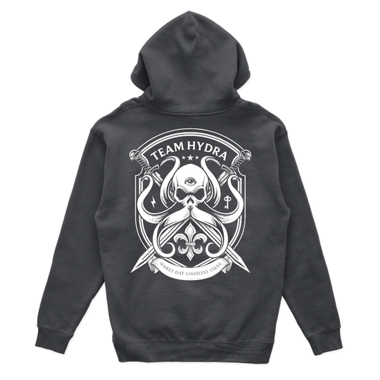 256th IBCT TF Tiger V2 Hoodies