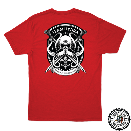 256th IBCT TF Tiger V2 T-Shirts
