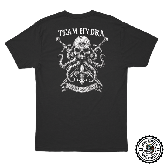 256th IBCT TF Tiger T-Shirts