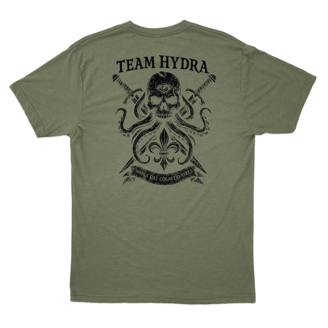 256th IBCT TF Tiger T-Shirts