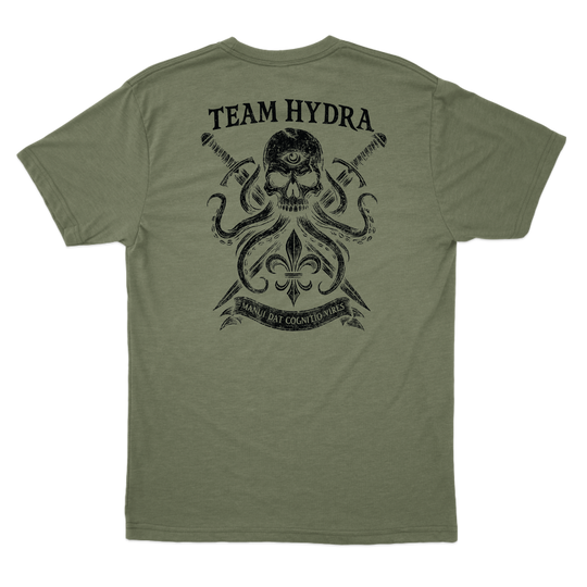 256th IBCT TF Tiger T-Shirts