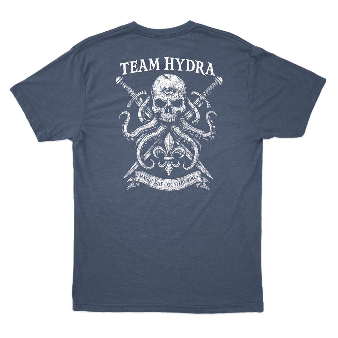 256th IBCT TF Tiger T-Shirts