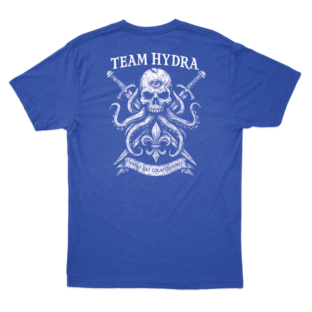 256th IBCT TF Tiger T-Shirts