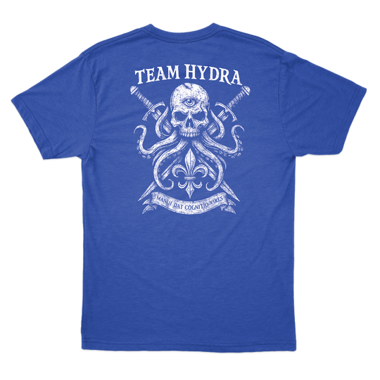 256th IBCT TF Tiger T-Shirts