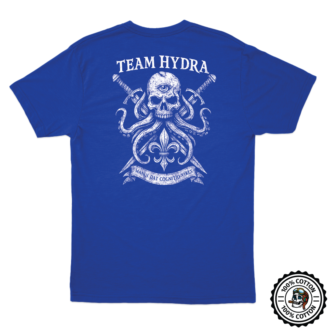 256th IBCT TF Tiger T-Shirts