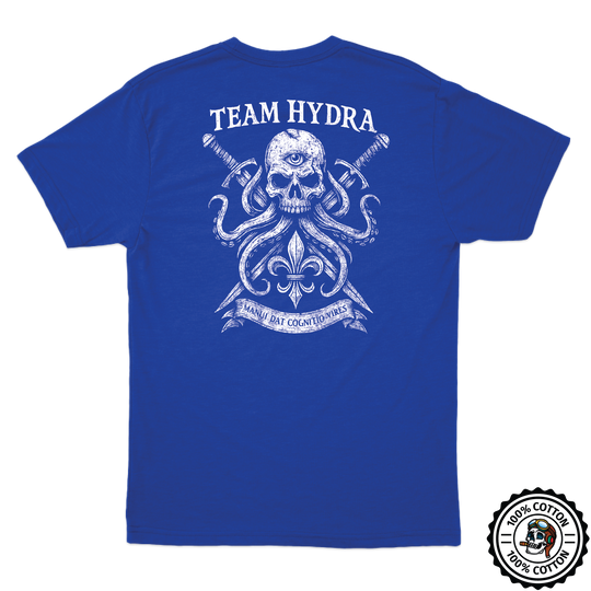 256th IBCT TF Tiger T-Shirts