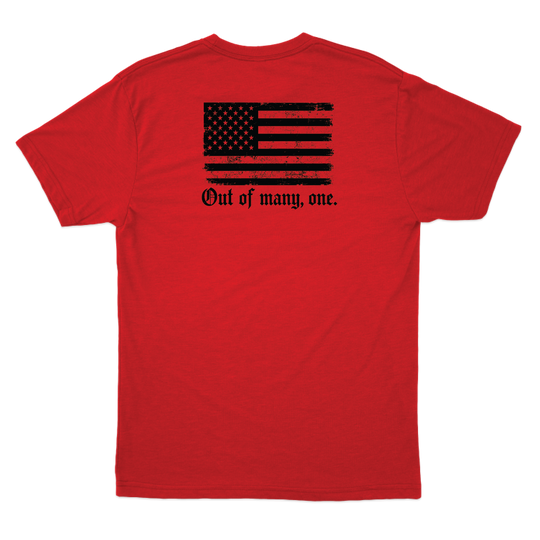 Out of Many, One T-Shirts