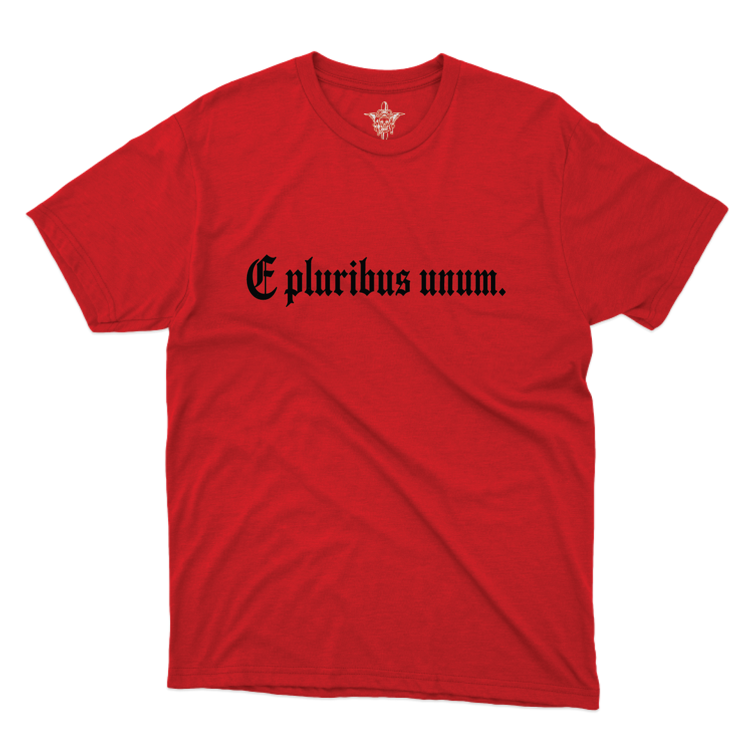 Out of Many, One T-Shirts