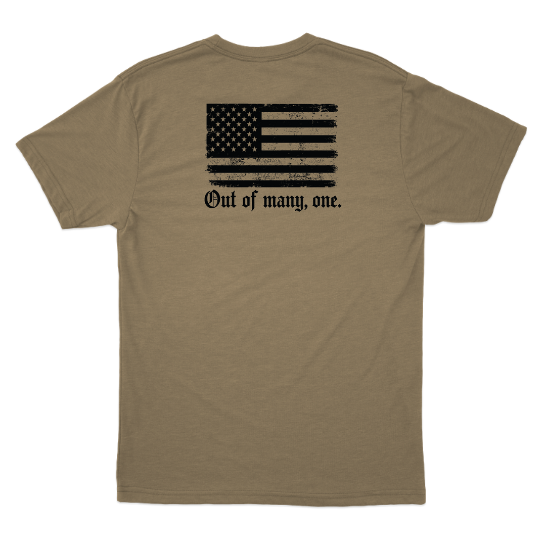 Out of Many, One T-Shirts