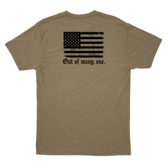 Out of Many, One T-Shirts